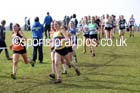 Senior womens 2016 Inter Counties Cross Country Champs. and Cross Challenge Final, Cofton Park, Birmingham. Photo: David T. Hewitson/Sports for All Pics